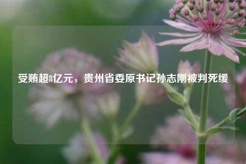 受贿超8亿元，贵州省委原书记孙志刚被判死缓