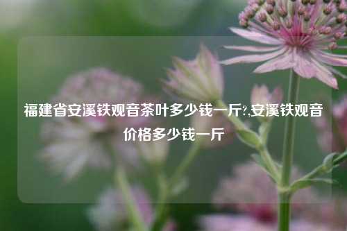 福建省安溪铁观音茶叶多少钱一斤?,安溪铁观音价格多少钱一斤