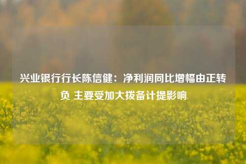 兴业银行行长陈信健：净利润同比增幅由正转负 主要受加大拨备计提影响