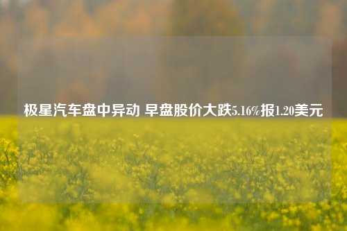 极星汽车盘中异动 早盘股价大跌5.16%报1.20美元