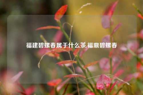 福建碧螺春属于什么茶,福鼎碧螺春