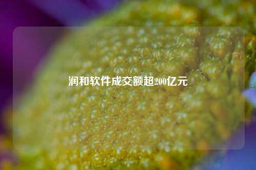 润和软件成交额超200亿元