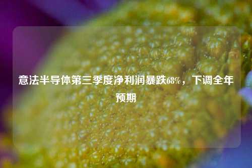 意法半导体第三季度净利润暴跌68%，下调全年预期