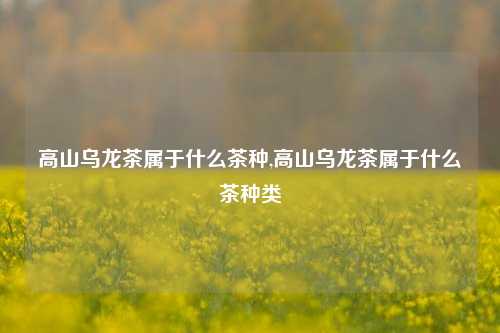 高山乌龙茶属于什么茶种,高山乌龙茶属于什么茶种类