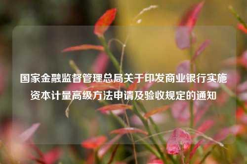 国家金融监督管理总局关于印发商业银行实施资本计量高级方法申请及验收规定的通知