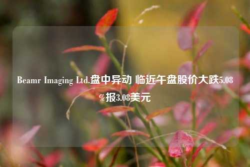 Beamr Imaging Ltd.盘中异动 临近午盘股价大跌5.08%报3.08美元