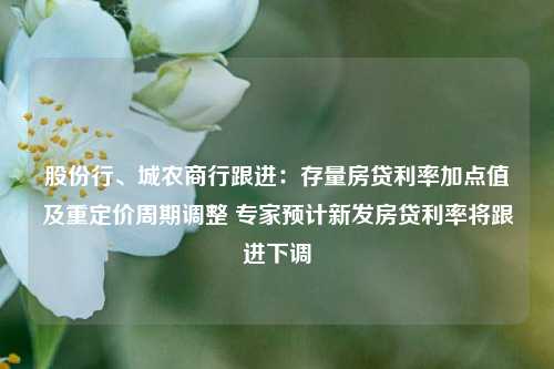 股份行、城农商行跟进：存量房贷利率加点值及重定价周期调整 专家预计新发房贷利率将跟进下调