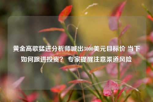 黄金高歌猛进分析师喊出3000美元目标价 当下如何跟进投资？ 专家提醒注意渠道风险