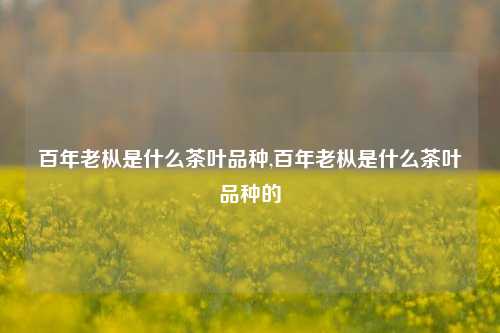 百年老枞是什么茶叶品种,百年老枞是什么茶叶品种的