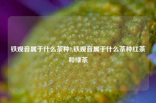 铁观音属于什么茶种?,铁观音属于什么茶种红茶和绿茶