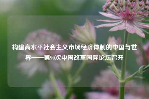 构建高水平社会主义市场经济体制的中国与世界——第90次中国改革国际论坛召开