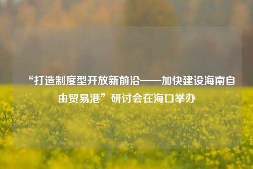 “打造制度型开放新前沿——加快建设海南自由贸易港”研讨会在海口举办