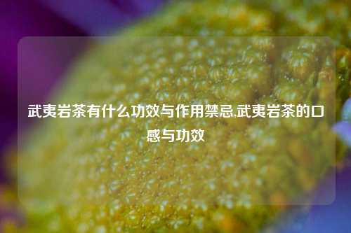 武夷岩茶有什么功效与作用禁忌,武夷岩茶的口感与功效