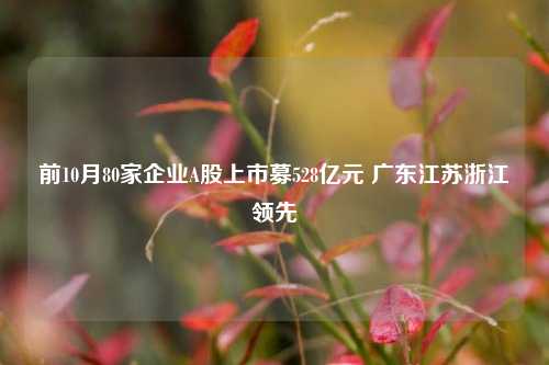 前10月80家企业A股上市募528亿元 广东江苏浙江领先