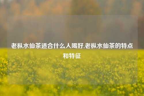 老枞水仙茶适合什么人喝好,老枞水仙茶的特点和特征