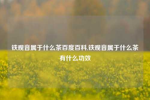 铁观音属于什么茶百度百科,铁观音属于什么茶有什么功效