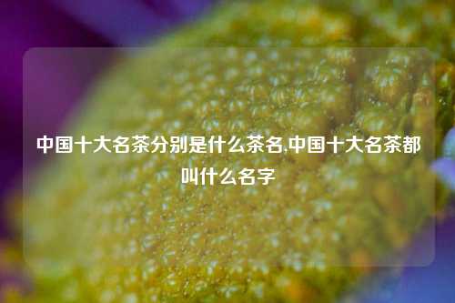 中国十大名茶分别是什么茶名,中国十大名茶都叫什么名字