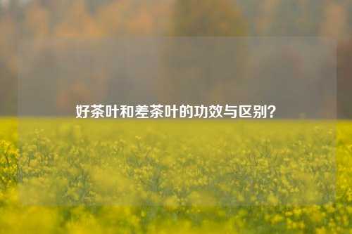 好茶叶和差茶叶的功效与区别？