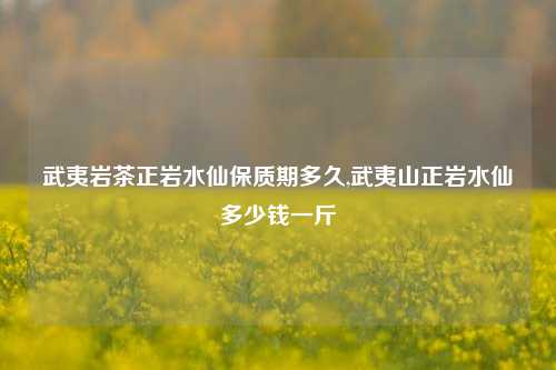 武夷岩茶正岩水仙保质期多久,武夷山正岩水仙多少钱一斤