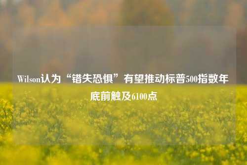 Wilson认为“错失恐惧”有望推动标普500指数年底前触及6100点