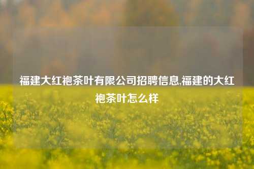 福建大红袍茶叶有限公司招聘信息,福建的大红袍茶叶怎么样