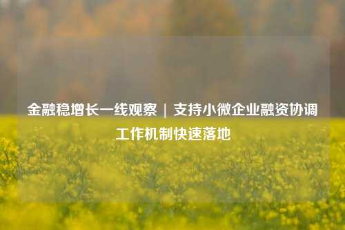 金融稳增长一线观察 | 支持小微企业融资协调工作机制快速落地