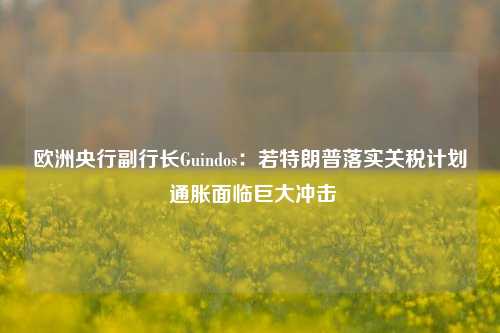 欧洲央行副行长Guindos：若特朗普落实关税计划 通胀面临巨大冲击