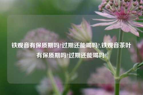 铁观音有保质期吗?过期还能喝吗?,铁观音茶叶有保质期吗?过期还能喝吗?