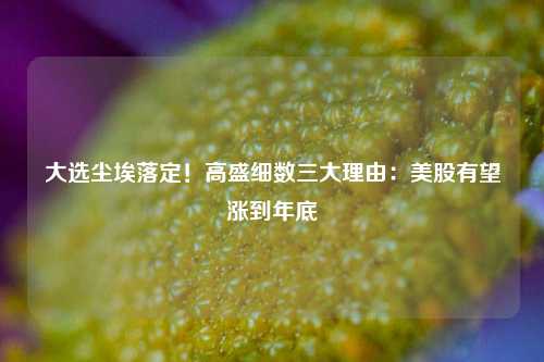 大选尘埃落定！高盛细数三大理由：美股有望涨到年底