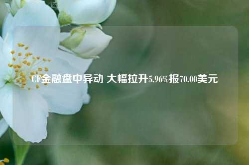 CF金融盘中异动 大幅拉升5.96%报70.00美元