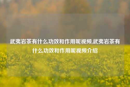 武夷岩茶有什么功效和作用呢视频,武夷岩茶有什么功效和作用呢视频介绍