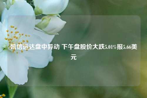 凯信远达盘中异动 下午盘股价大跌5.01%报5.66美元