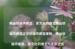 潮汕安溪铁观音，茶文化的瑰宝潮汕安溪铁观音正宗安溪铁观音港股，潮汕安溪铁观音，茶文化的瑰宝与正宗之选，潮汕安溪铁观音，茶文化瑰宝与正宗之选