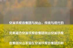 安溪铁观音集团与凤山，传统与现代的完美融合安溪铁观音集团凤山安溪铁观音集团凤山茶园在安溪铁观音集团的附近吗spacex，安溪铁观音集团与凤山，传统与现代茶文化的融合之美，安溪铁观音集团与凤山，传统与现代茶文化的融合之美