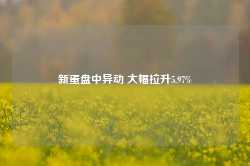 新蛋盘中异动 大幅拉升5.97%