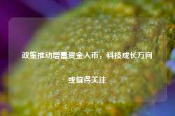 政策推动增量资金入市，科技成长方向或值得关注