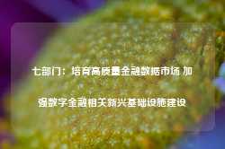 七部门：培育高质量金融数据市场 加强数字金融相关新兴基础设施建设