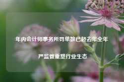 年内会计师事务所罚单数已超去年全年 严监管重塑行业生态