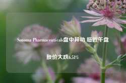 Sonoma Pharmaceuticals盘中异动 临近午盘股价大跌6.51%