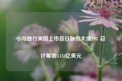 小马智行美国上市首日股价大涨19% 总计筹资4.134亿美元