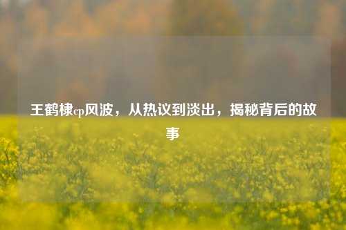 王鹤棣cp风波，从热议到淡出，揭秘背后的故事