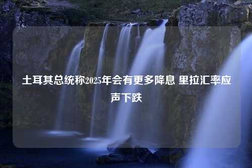 土耳其总统称2025年会有更多降息 里拉汇率应声下跌