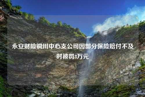 永安财险铜川中心支公司因部分保险赔付不及时被罚8万元