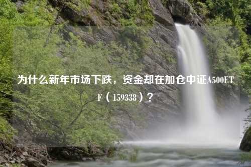 为什么新年市场下跌，资金却在加仓中证A500ETF（159338）？