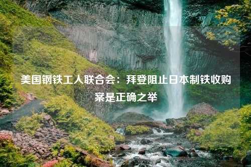 美国钢铁工人联合会：拜登阻止日本制铁收购案是正确之举