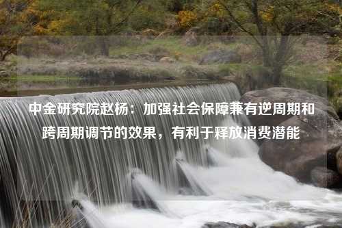 中金研究院赵杨：加强社会保障兼有逆周期和跨周期调节的效果，有利于释放消费潜能