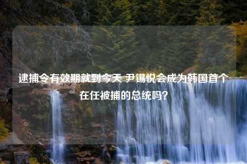 逮捕令有效期就到今天 尹锡悦会成为韩国首个在任被捕的总统吗？