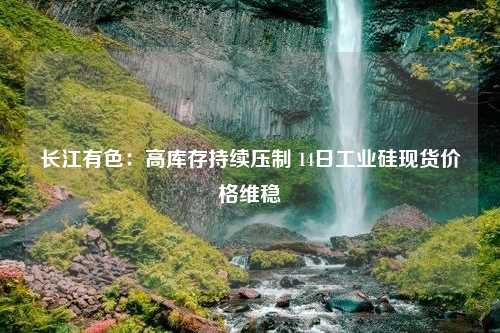 长江有色：高库存持续压制 14日工业硅现货价格维稳