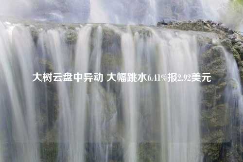 大树云盘中异动 大幅跳水6.41%报2.92美元