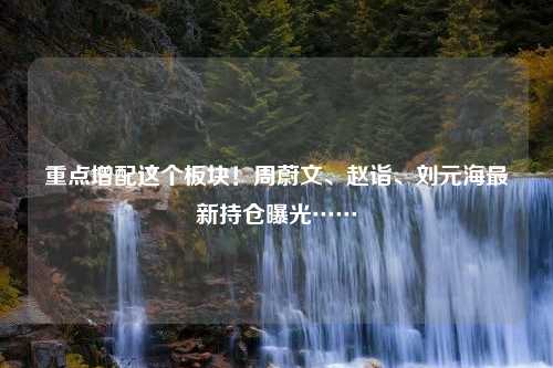 重点增配这个板块！周蔚文、赵诣、刘元海最新持仓曝光……